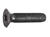 171 Floor Board Screws